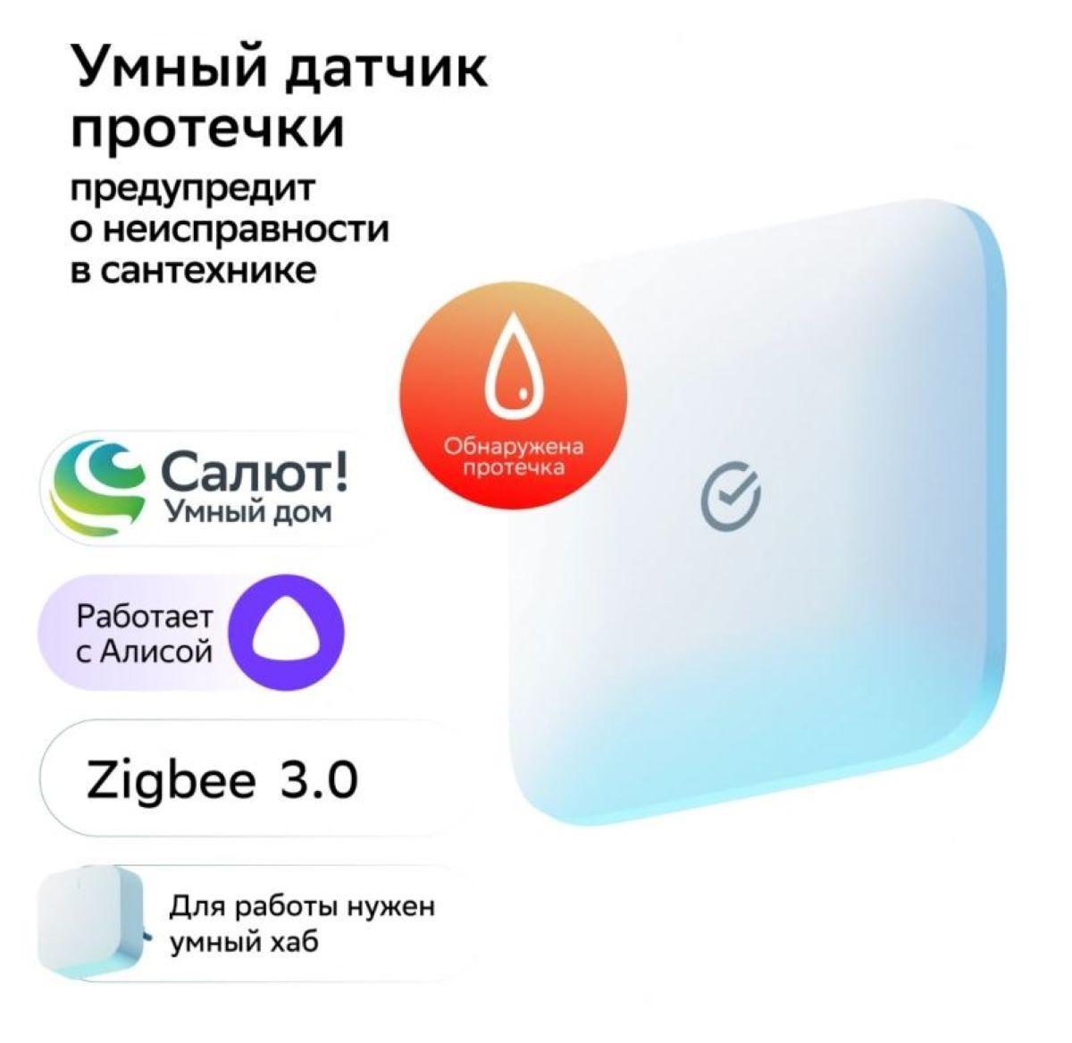 SBER SBDV-00154