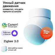 SBER SBDV-00029