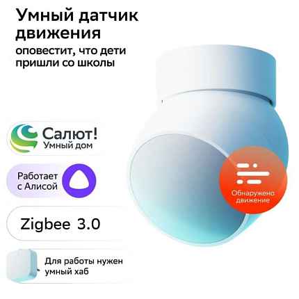 SBER SBDV-00029