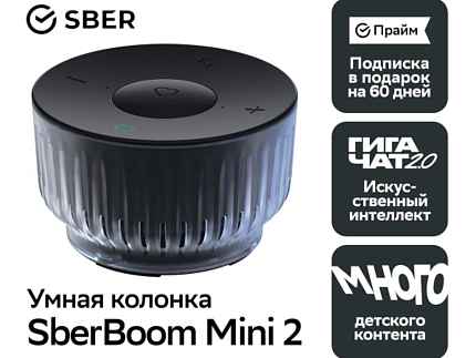 SberBoom Mini 2
