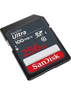 SanDisk SDSDUNR-256G-GN3IN 256GB UHS-I SDXC