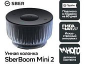 SberBoom Mini 2
